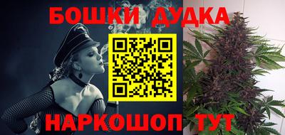 прущие грибы Апшеронск