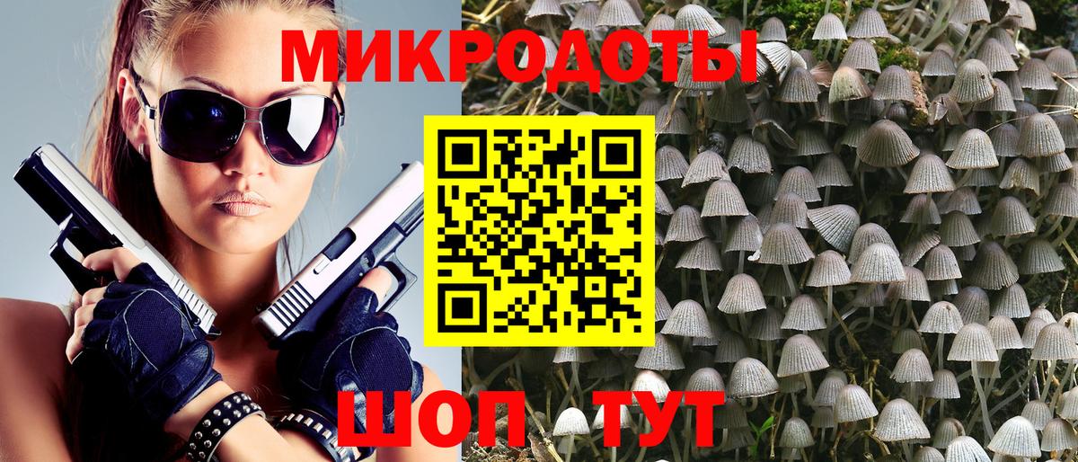 Псилоцибиновые грибы Cubensis Аша