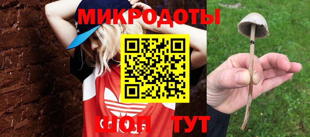 Псилоцибиновые грибы Magic Shrooms  Псилоцибиновые грибы мицелий  Вход с VPN  Аша 